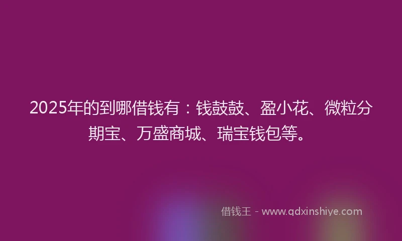 2025年的到哪借钱有：钱鼓鼓、盈小花、微粒分期宝、万盛商城、瑞宝钱包等。