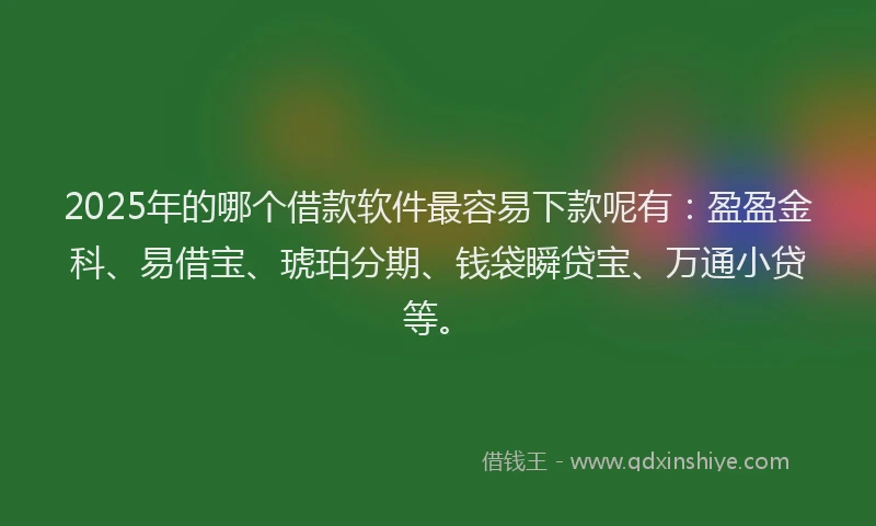 2025年的哪个借款软件最容易下款呢有：盈盈金科、易借宝、琥珀分期、钱袋瞬贷宝、万通小贷等。