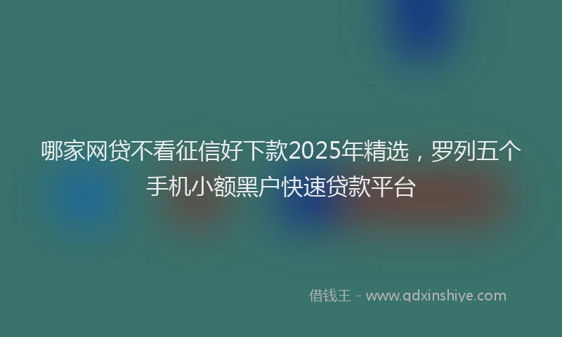 哪家网贷不看征信好下款2025年精选，罗列五个手机小额黑户快速贷款平台