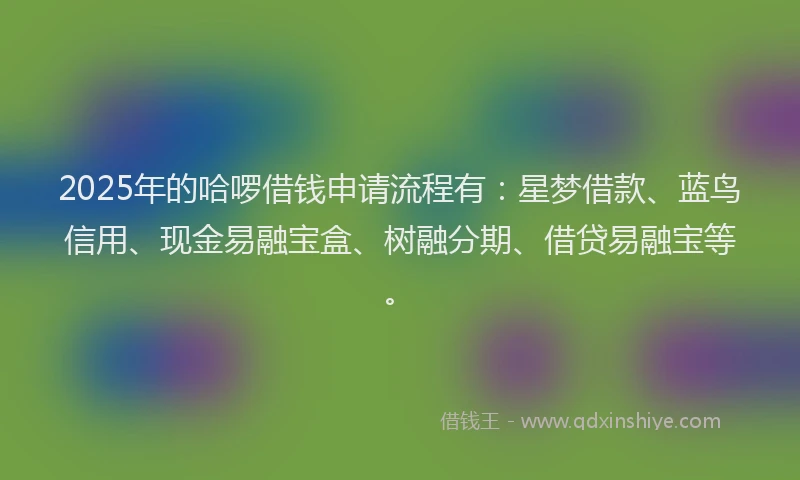 2025年的哈啰借钱申请流程有：星梦借款、蓝鸟信用、现金易融宝盒、树融分期、借贷易融宝等。