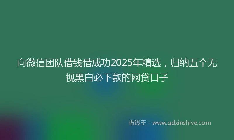 向微信团队借钱借成功2025年精选，归纳五个无视黑白必下款的网贷口子