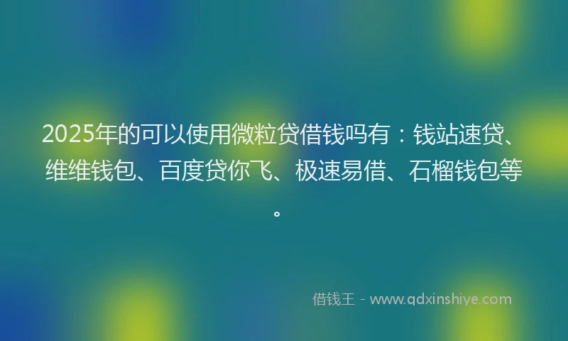 2025年的可以使用微粒贷借钱吗有：钱站速贷、维维钱包、百度贷你飞、极速易借、石榴钱包等。