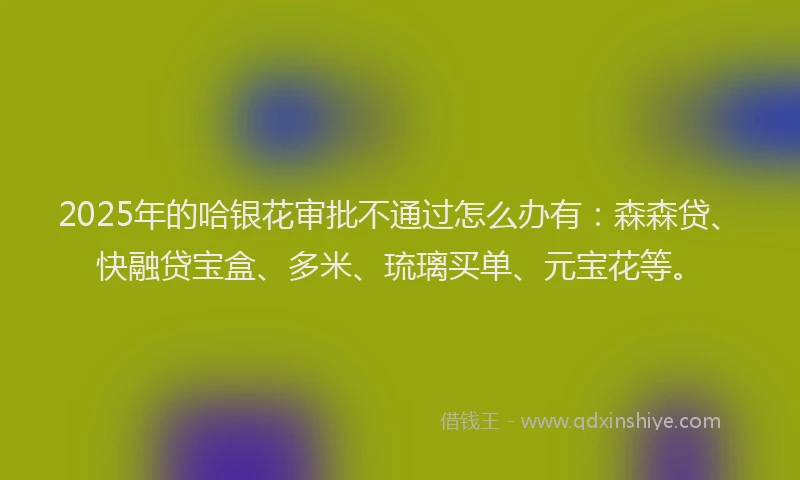 2025年的哈银花审批不通过怎么办有：森森贷、快融贷宝盒、多米、琉璃买单、元宝花等。