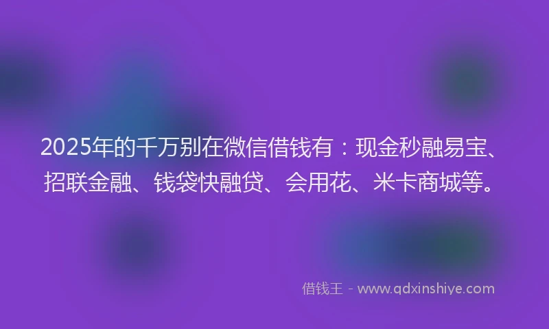 2025年的千万别在微信借钱有：现金秒融易宝、招联金融、钱袋快融贷、会用花、米卡商城等。
