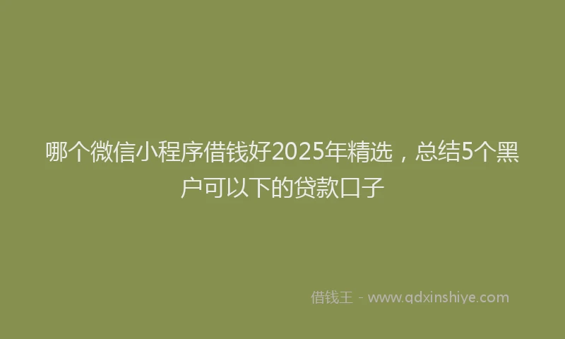 哪个微信小程序借钱好2025年精选，总结5个黑户可以下的贷款口子