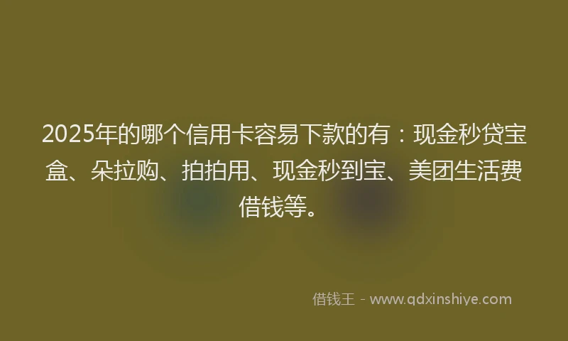 2025年的哪个信用卡容易下款的有：现金秒贷宝盒、朵拉购、拍拍用、现金秒到宝、美团生活费借钱等。