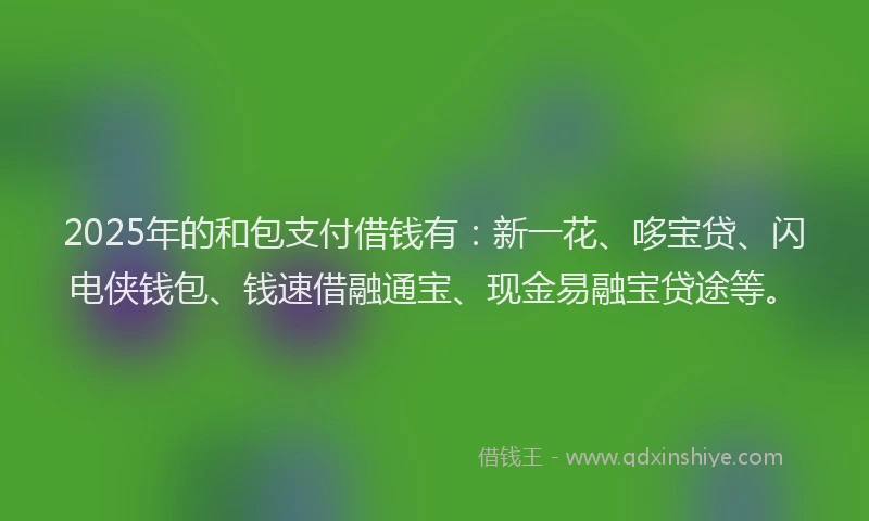 2025年的和包支付借钱有：新一花、哆宝贷、闪电侠钱包、钱速借融通宝、现金易融宝贷途等。