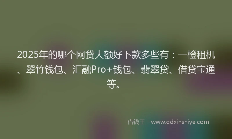 2025年的哪个网贷大额好下款多些有：一橙租机、翠竹钱包、汇融Pro+钱包、翡翠贷、借贷宝通等。