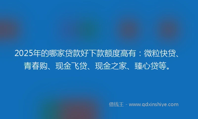 2025年的哪家贷款好下款额度高有：微粒快贷、青春购、现金飞贷、现金之家、臻心贷等。