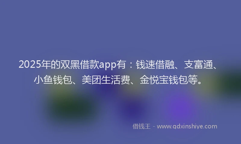 2025年的双黑借款app有：钱速借融、支富通、小鱼钱包、美团生活费、金悦宝钱包等。