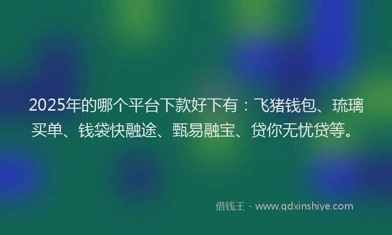 2025年的哪个平台下款好下有：飞猪钱包、琉璃买单、钱袋快融途、甄易融宝、贷你无忧贷等。