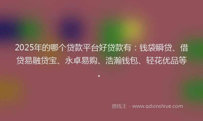 2025年的哪个贷款平台好贷款有：钱袋瞬贷、借贷易融贷宝、永卓易购、浩瀚钱包、轻花优品等。