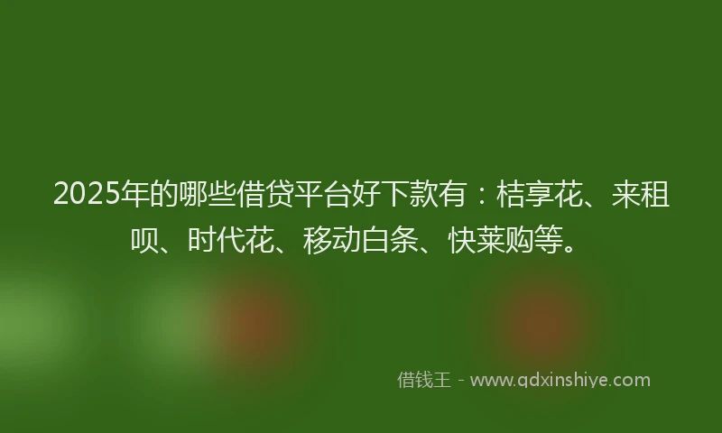 2025年的哪些借贷平台好下款有：桔享花、来租呗、时代花、移动白条、快莱购等。
