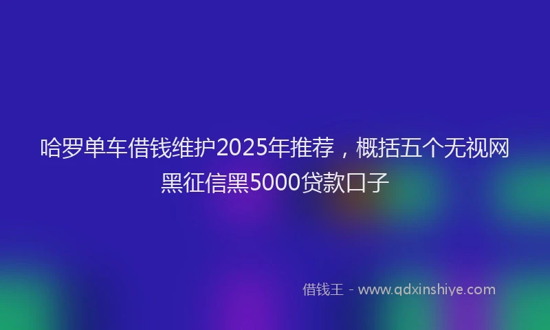 哈罗单车借钱维护2025年推荐，概括五个无视网黑征信黑5000贷款口子