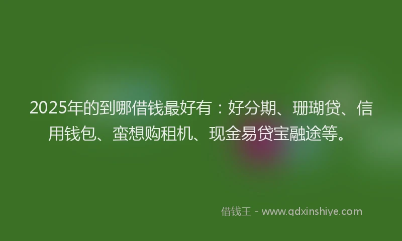 2025年的到哪借钱最好有：好分期、珊瑚贷、信用钱包、蛮想购租机、现金易贷宝融途等。