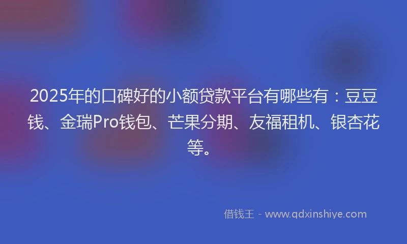 2025年的口碑好的小额贷款平台有哪些有：豆豆钱、金瑞Pro钱包、芒果分期、友福租机、银杏花等。