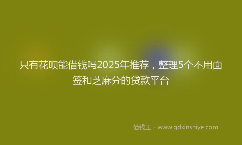 只有花呗能借钱吗2025年推荐，整理5个不用面签和芝麻分的贷款平台