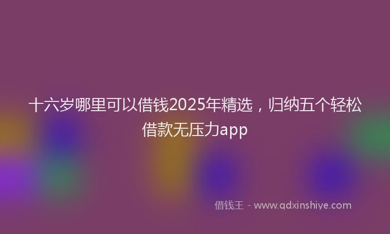 十六岁哪里可以借钱2025年精选，归纳五个轻松借款无压力app