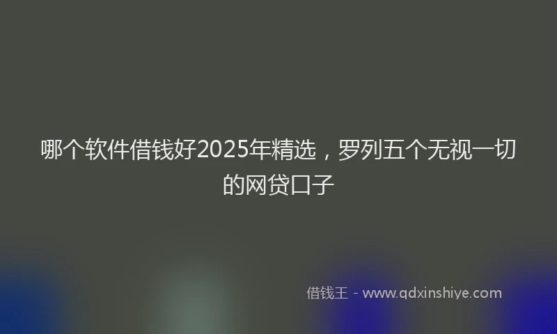 哪个软件借钱好2025年精选，罗列五个无视一切的网贷口子