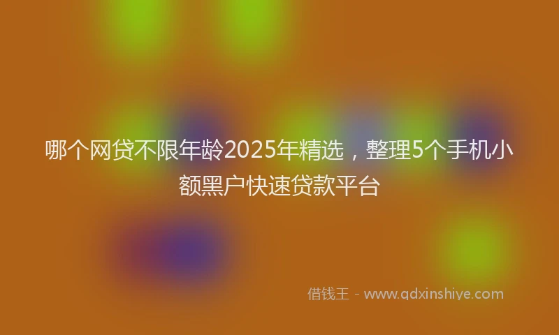 哪个网贷不限年龄2025年精选，整理5个手机小额黑户快速贷款平台