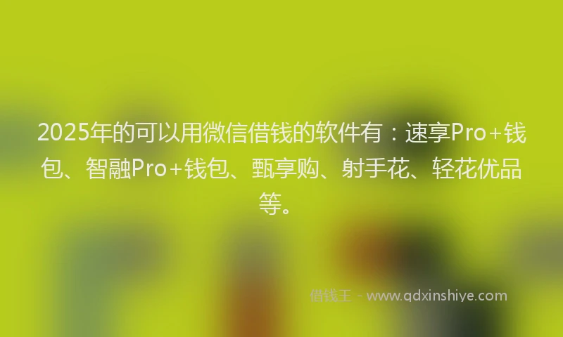 2025年的可以用微信借钱的软件有：速享Pro+钱包、智融Pro+钱包、甄享购、射手花、轻花优品等。