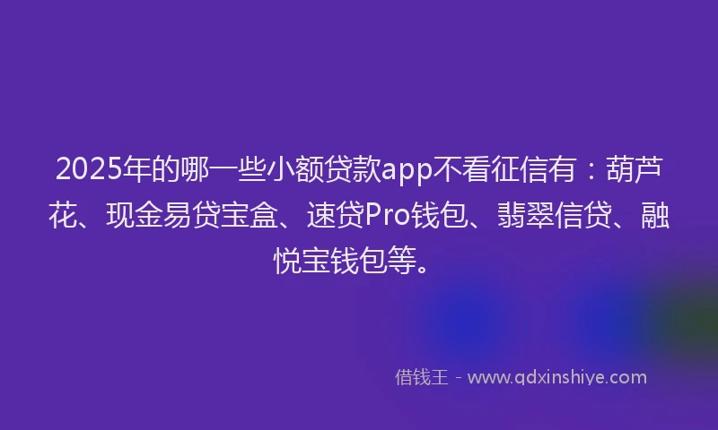 2025年的哪一些小额贷款app不看征信有：葫芦花、现金易贷宝盒、速贷Pro钱包、翡翠信贷、融悦宝钱包等。