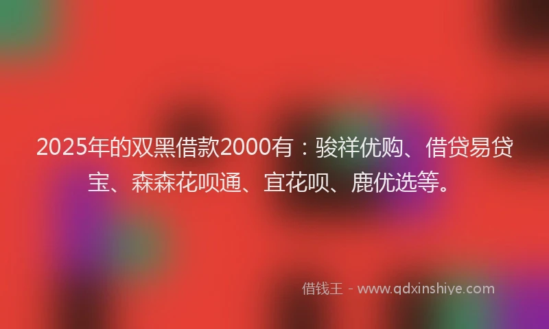 2025年的双黑借款2000有：骏祥优购、借贷易贷宝、森森花呗通、宜花呗、鹿优选等。