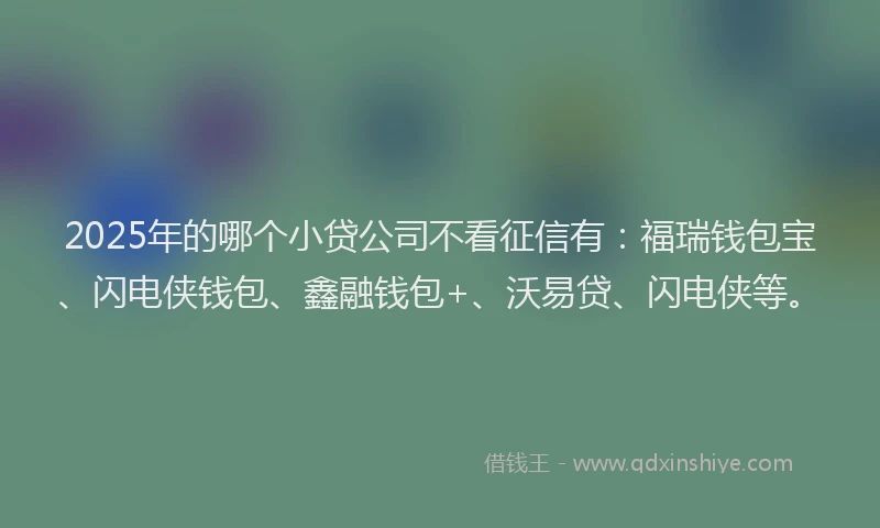 2025年的哪个小贷公司不看征信有：福瑞钱包宝、闪电侠钱包、鑫融钱包+、沃易贷、闪电侠等。