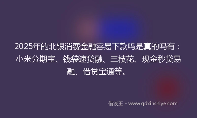 2025年的北银消费金融容易下款吗是真的吗有：小米分期宝、钱袋速贷融、三枝花、现金秒贷易融、借贷宝通等。