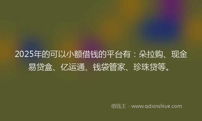 2025年的可以小额借钱的平台有：朵拉购、现金易贷盒、亿运通、钱袋管家、珍珠贷等。