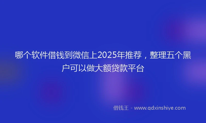 哪个软件借钱到微信上2025年推荐，整理五个黑户可以做大额贷款平台