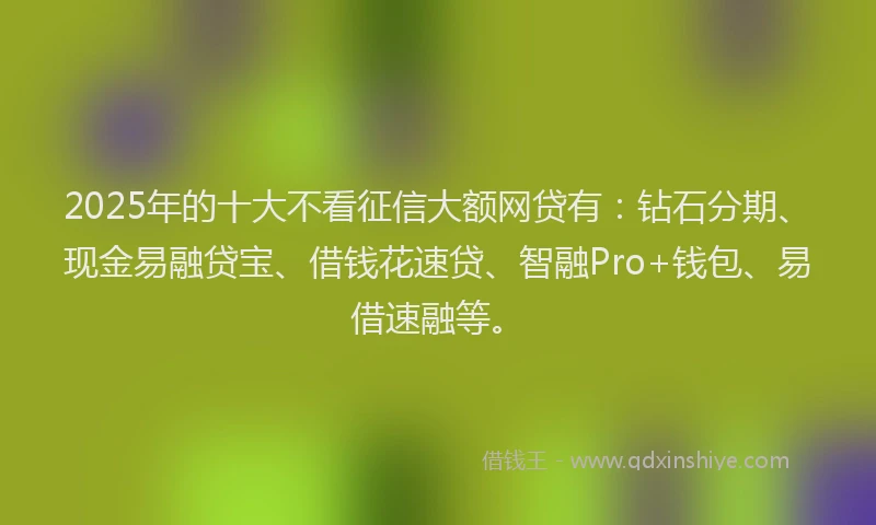 2025年的十大不看征信大额网贷有：钻石分期、现金易融贷宝、借钱花速贷、智融Pro+钱包、易借速融等。