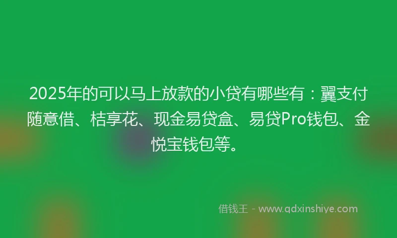 2025年的可以马上放款的小贷有哪些有：翼支付随意借、桔享花、现金易贷盒、易贷Pro钱包、金悦宝钱包等。