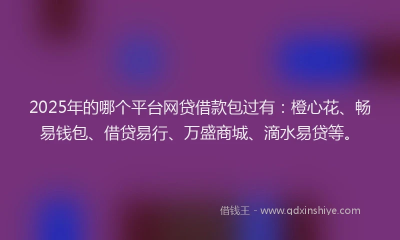 2025年的哪个平台网贷借款包过有：橙心花、畅易钱包、借贷易行、万盛商城、滴水易贷等。