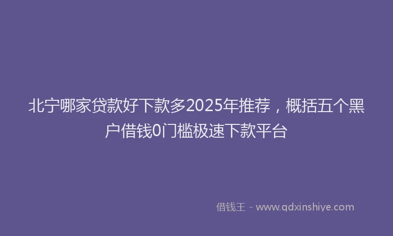 北宁哪家贷款好下款多2025年推荐，概括五个黑户借钱0门槛极速下款平台