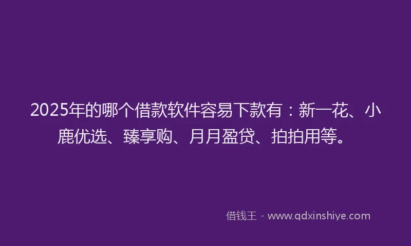 2025年的哪个借款软件容易下款有：新一花、小鹿优选、臻享购、月月盈贷、拍拍用等。
