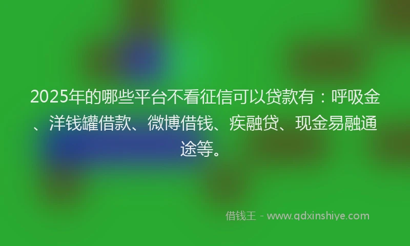 2025年的哪些平台不看征信可以贷款有：呼吸金、洋钱罐借款、微博借钱、疾融贷、现金易融通途等。