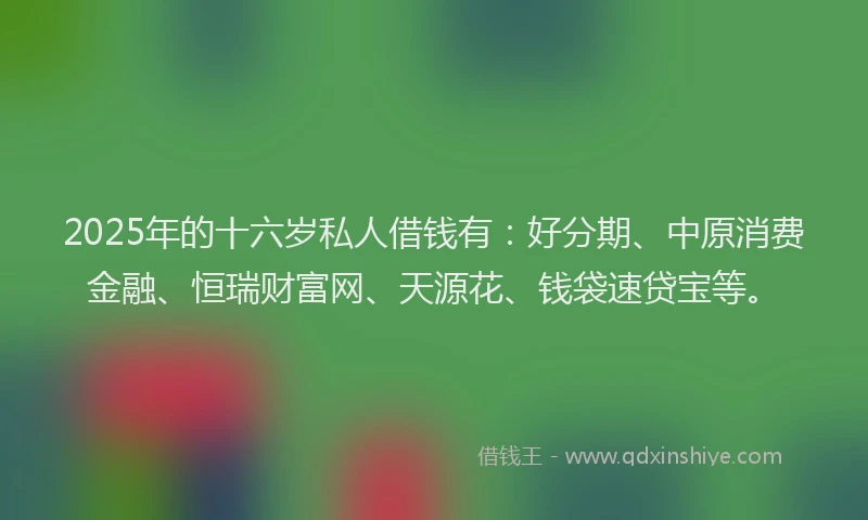 2025年的十六岁私人借钱有：好分期、中原消费金融、恒瑞财富网、天源花、钱袋速贷宝等。