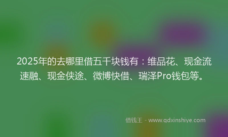 2025年的去哪里借五千块钱有：维品花、现金流速融、现金侠途、微博快借、瑞泽Pro钱包等。