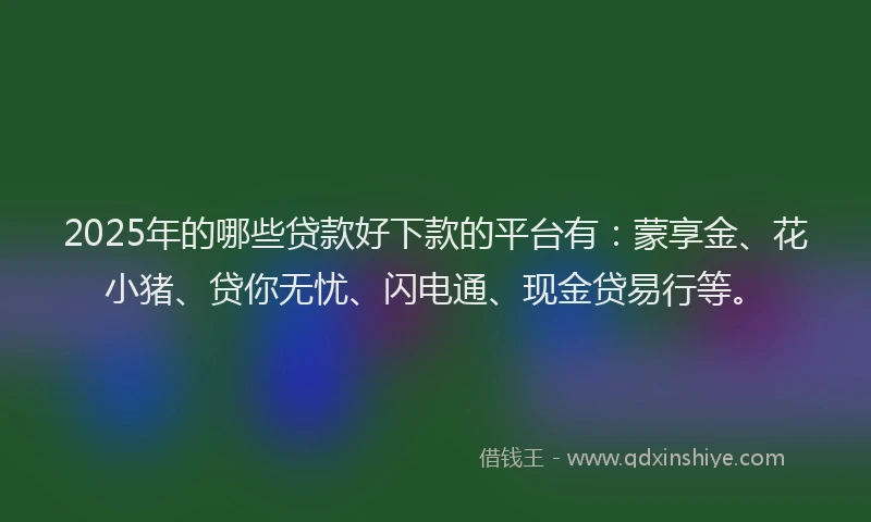 2025年的哪些贷款好下款的平台有：蒙享金、花小猪、贷你无忧、闪电通、现金贷易行等。