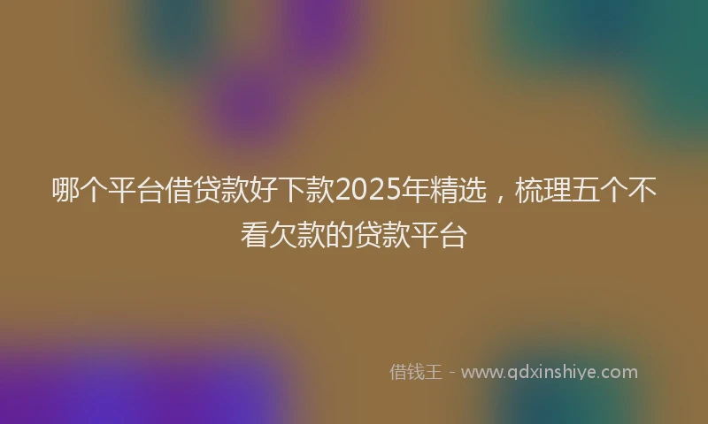 哪个平台借贷款好下款2025年精选，梳理五个不看欠款的贷款平台