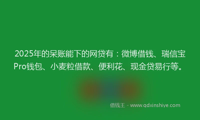 2025年的呆账能下的网贷有：微博借钱、瑞信宝Pro钱包、小麦粒借款、便利花、现金贷易行等。