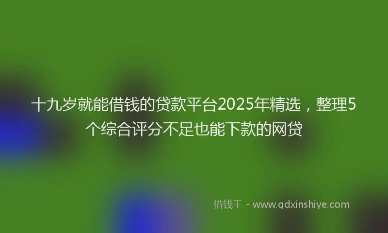 十九岁就能借钱的贷款平台2025年精选，整理5个综合评分不足也能下款的网贷