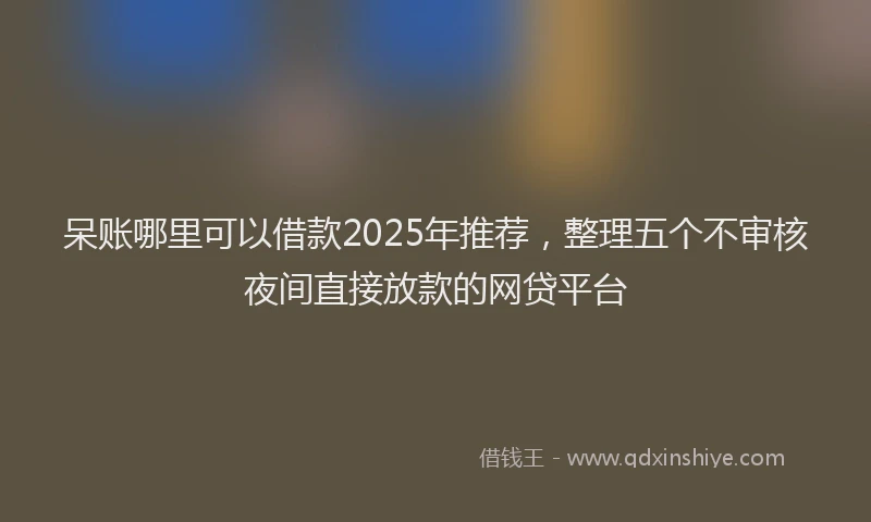 呆账哪里可以借款2025年推荐，整理五个不审核夜间直接放款的网贷平台