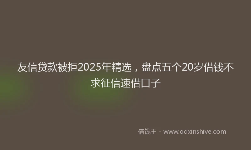 友信贷款被拒2025年精选，盘点五个20岁借钱不求征信速借口子