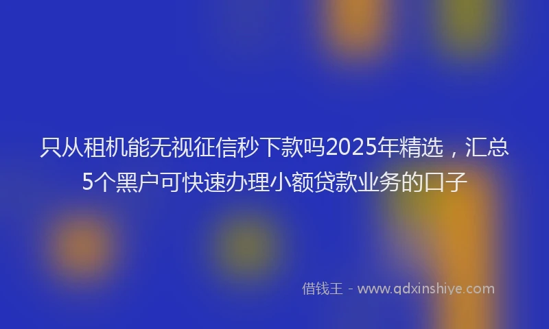 只从租机能无视征信秒下款吗2025年精选，汇总5个黑户可快速办理小额贷款业务的口子