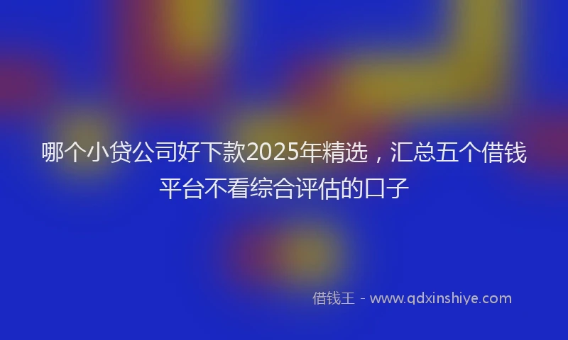 哪个小贷公司好下款2025年精选，汇总五个借钱平台不看综合评估的口子