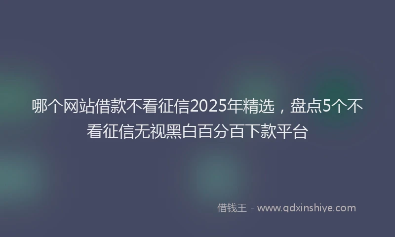 哪个网站借款不看征信2025年精选，盘点5个不看征信无视黑白百分百下款平台