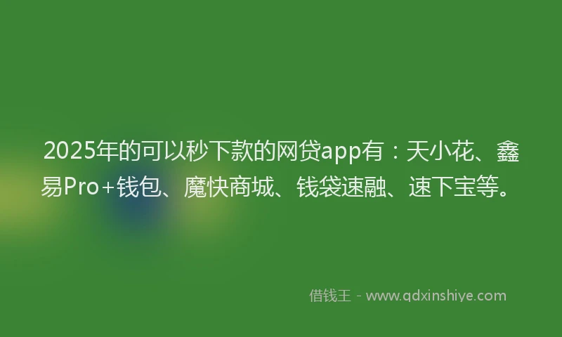 2025年的可以秒下款的网贷app有：天小花、鑫易Pro+钱包、魔快商城、钱袋速融、速下宝等。