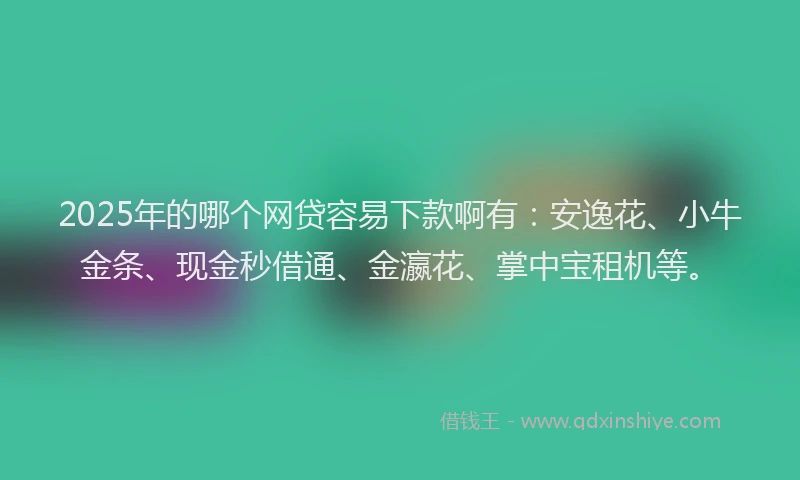 2025年的哪个网贷容易下款啊有：安逸花、小牛金条、现金秒借通、金瀛花、掌中宝租机等。